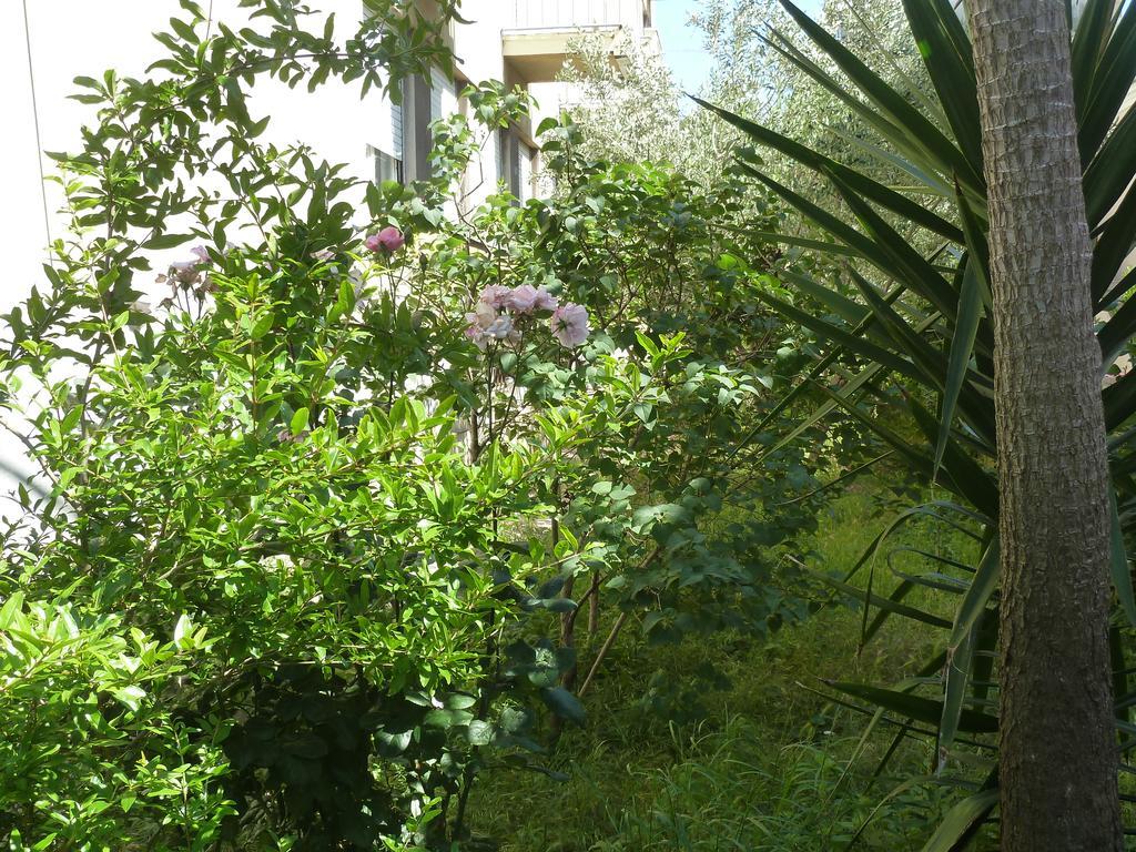 Apartment Marina Zadar Exterior photo